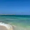 Danielle - @daniellebeekay - TikTok