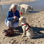 Danielle Beekhuijs Holistische Praktijk Sense - @daniellebeekhuijs - Instagram