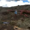 Danielle  - @daniellebengesai - TikTok