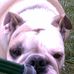 Danielle Berberich - Facebook