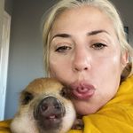 Danielle Betterman - @dmbetterman - Instagram