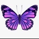 Danielle Blackmore - @hey_im_dan_pls_dont_stalk_me - Instagram