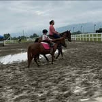 Danielle Blackmore - @eversocleverjumper - Instagram