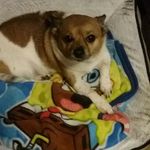 Danielle Blankenship - @danielle.blankenship.7355079 - Instagram