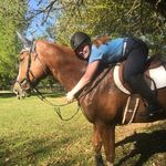 Danielle BoBo - @dsb_eventing - Instagram