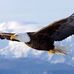 Danielle Pautrot - Facebook