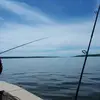 Danielle Boulet - @danielle.boulet.18 - TikTok