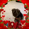 daniellebouliere - @daniellebouliere - TikTok