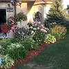 daniellebourassa9 - @daniellebourassa9 - TikTok