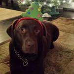 Danielle Berthiaume Bourgault - @dannyb2679 - Instagram