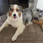 Danielle Bourque - @danielle.bourque.5661 - Instagram