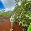 Danielle Bourque - @danielle_bourque - TikTok