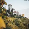 aesthetic💓 - @vineyard_ - TikTok