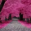 Danielle Braswell-Nelson - @www.tiktok.comdannibn - TikTok