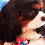 Danielle Bravo - Facebook