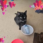 Danielle Brett - Facebook