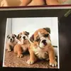 danielle bright  - @danielle198822 - TikTok