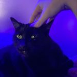 Danielle Brinson - @danielle_sometimes_makes_art - Instagram