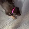 danielle.burleson - @danielle.burleson - TikTok