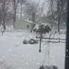 Danielle Bush965 - @daniellebush965 - TikTok