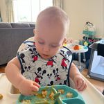 Danielle Button - @veganbabyluca_blw - Instagram