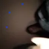 daniellecaggiano9 - @darkchylde227 - TikTok