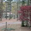 Danielle Cagle - @danielle.cagle - TikTok