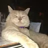 Danielle Calderwood - @daniellecalderwoo4 - TikTok