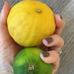 Danielle Campagna - @countrysidecook - Instagram