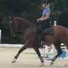 danielle capps - @daniellecapps0 - TikTok