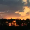 Dani - @carley.danielle - TikTok