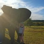 Danielle Carlin - @danbearx - Instagram