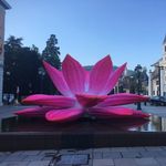 Daniellecarrier - @daniellecarrier74 - Instagram