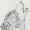 daniella - @daniellacerna - TikTok
