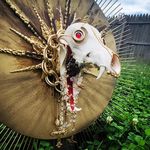 Danielle Chavez - @wildcuriosities94 - Instagram