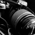 Danielle Claire Photography - @danielleclairephotography - Instagram