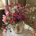 Danielle clinton - @danielleclinton2021 - Instagram