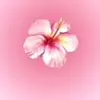 danielleclontzmos - @danielle.clontz.m - TikTok