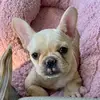 Danielle Coatney - @tinks62081 - TikTok