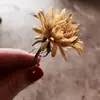 Ala Danielle Coffman - @alad131418 - TikTok