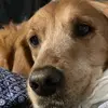 daniellecoffman67 - @daniellecoffman67 - TikTok