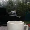 Danielle Cogar - @daniellecogar - TikTok