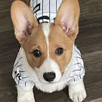 Danielle Cogbill - Facebook