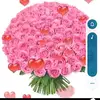 Danielle - @danielle_colin - TikTok