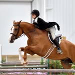 Danielle Collette Pfitzner - @dcollette123 - Instagram