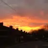 Dani - @daniellecollyer - TikTok