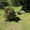 Danielle Comeau - @danielle.comeau - TikTok