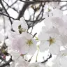 danielle conant - @danielleconant - TikTok