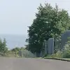 danielleconquest9 - @danielleconquest9 - TikTok