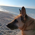 Danielle Constant - @dada6001 - Instagram